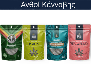 anthoi-300x250 anthoi-300x250